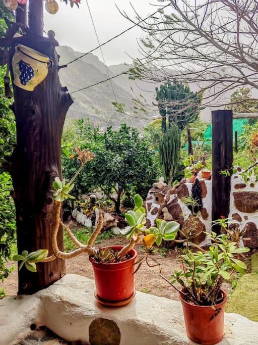 Villa Tamadaba Agaete  Esterno foto