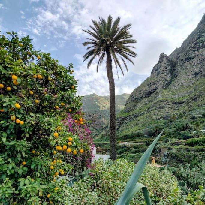 Villa Tamadaba Agaete  Esterno foto